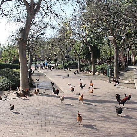 Apartamento Playa Benalmadena Las Golondrinas Ngoại thất bức ảnh